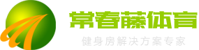 鑄鐵井蓋